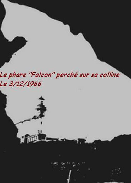 Bou Sfer Falcon 500X700.jpg